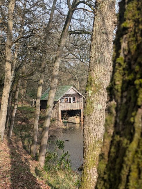 A rustic wooden watermill with a green roof situated beside a calm river, surrounded by tall, leafless trees with moss-covered trunks. The scene is set in a natural woodland area in early spring or la
